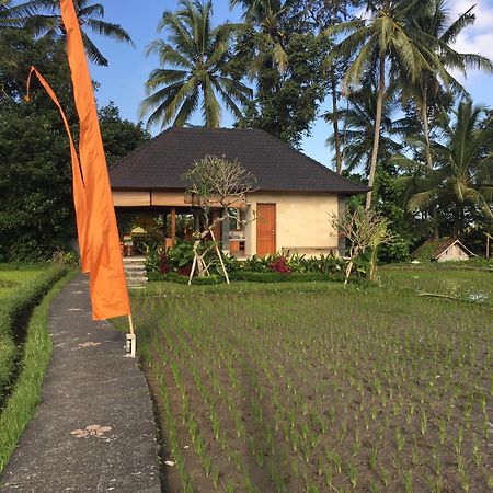Puri Raya Villa Ubud Buitenkant foto