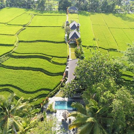 Puri Raya Villa Ubud Buitenkant foto