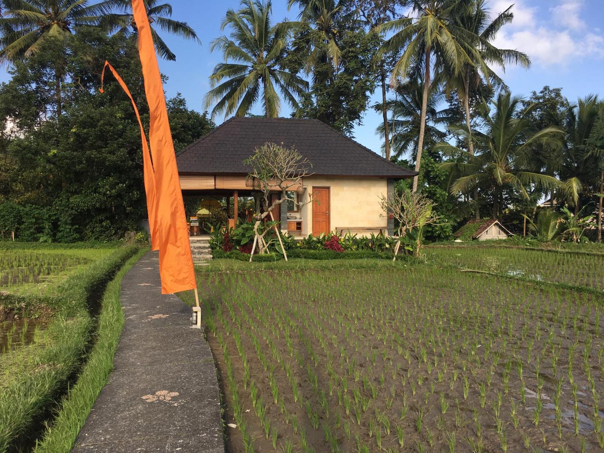 Puri Raya Villa Ubud Buitenkant foto