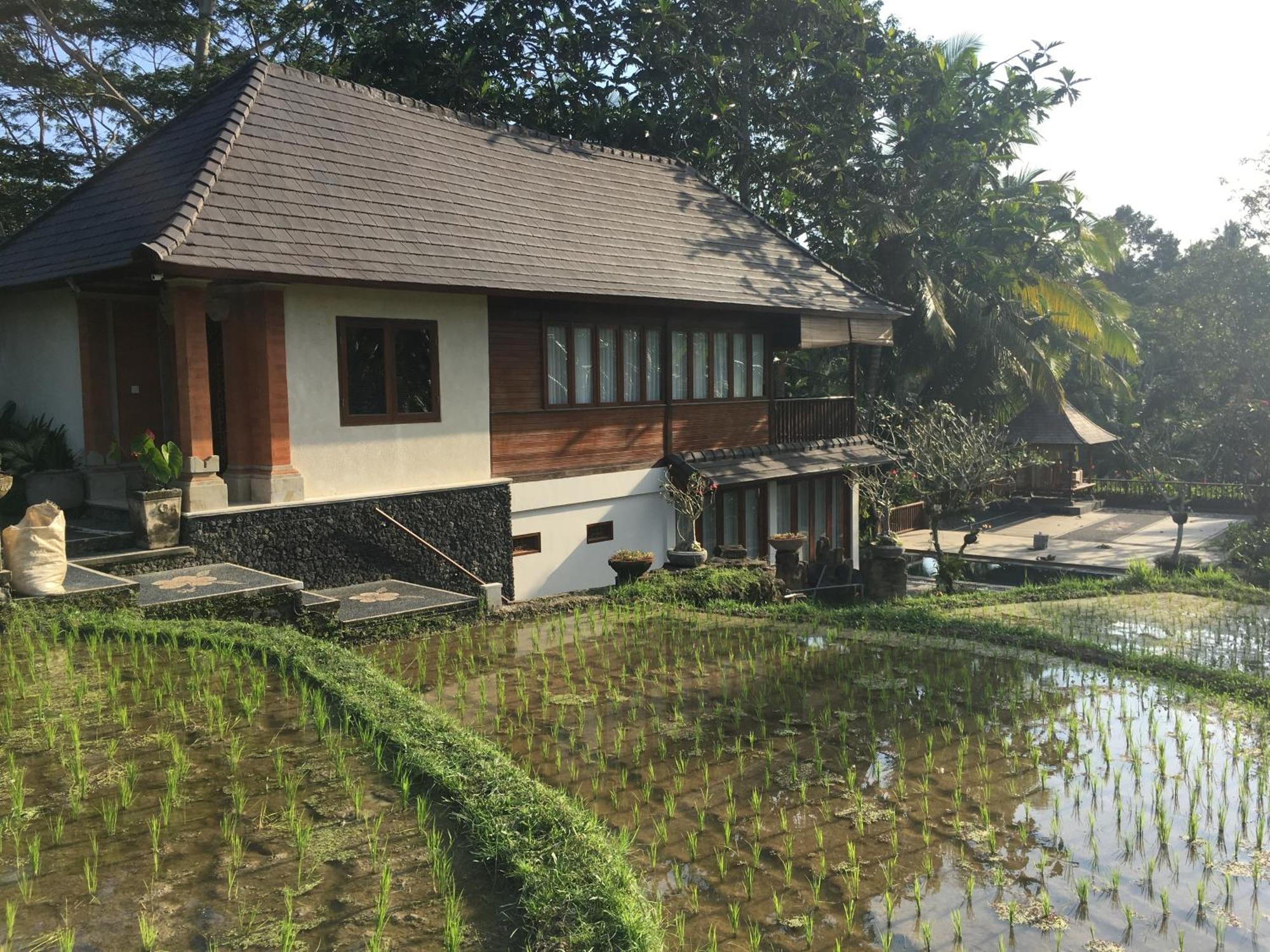 Puri Raya Villa Ubud Buitenkant foto