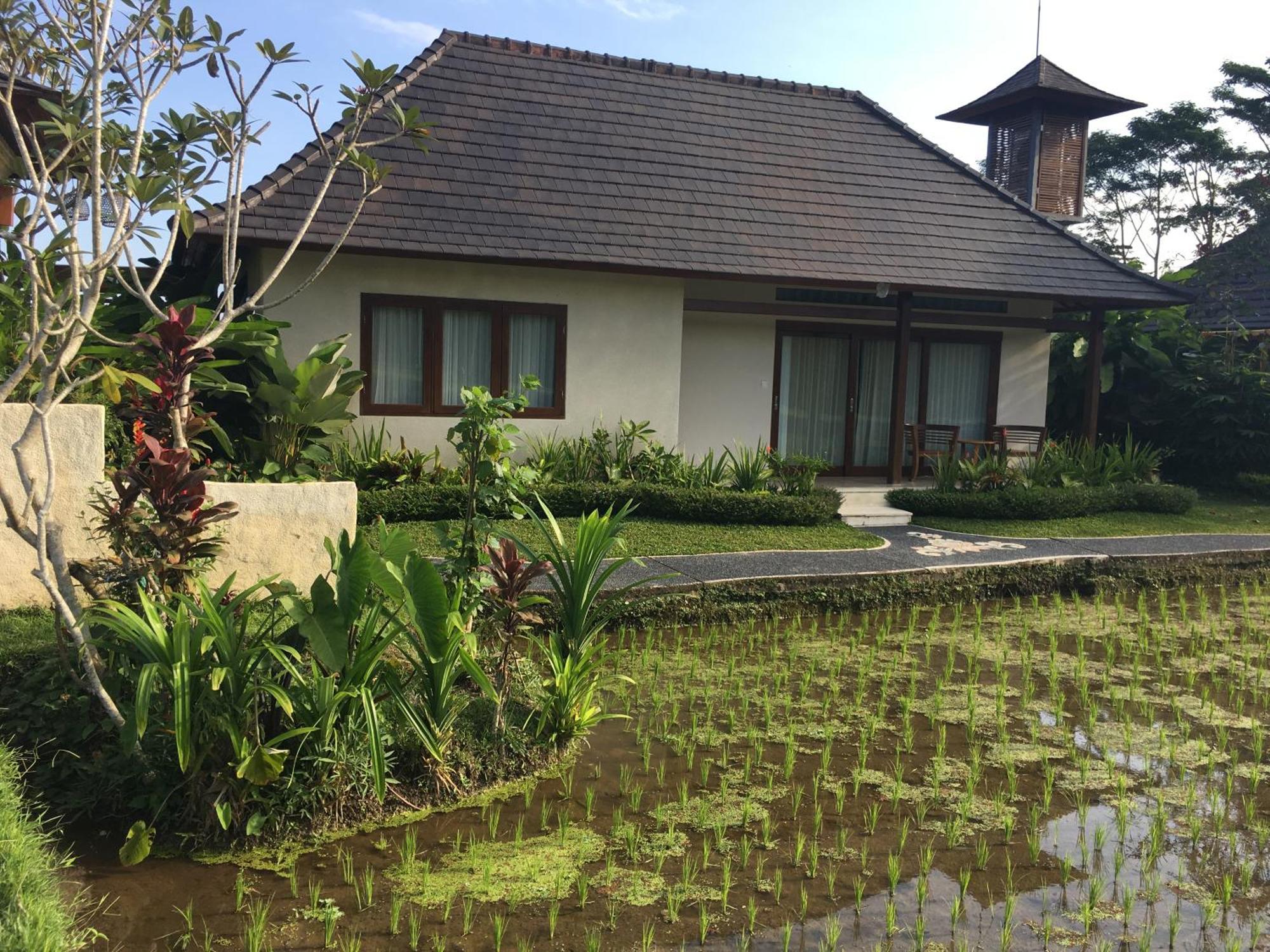 Puri Raya Villa Ubud Buitenkant foto