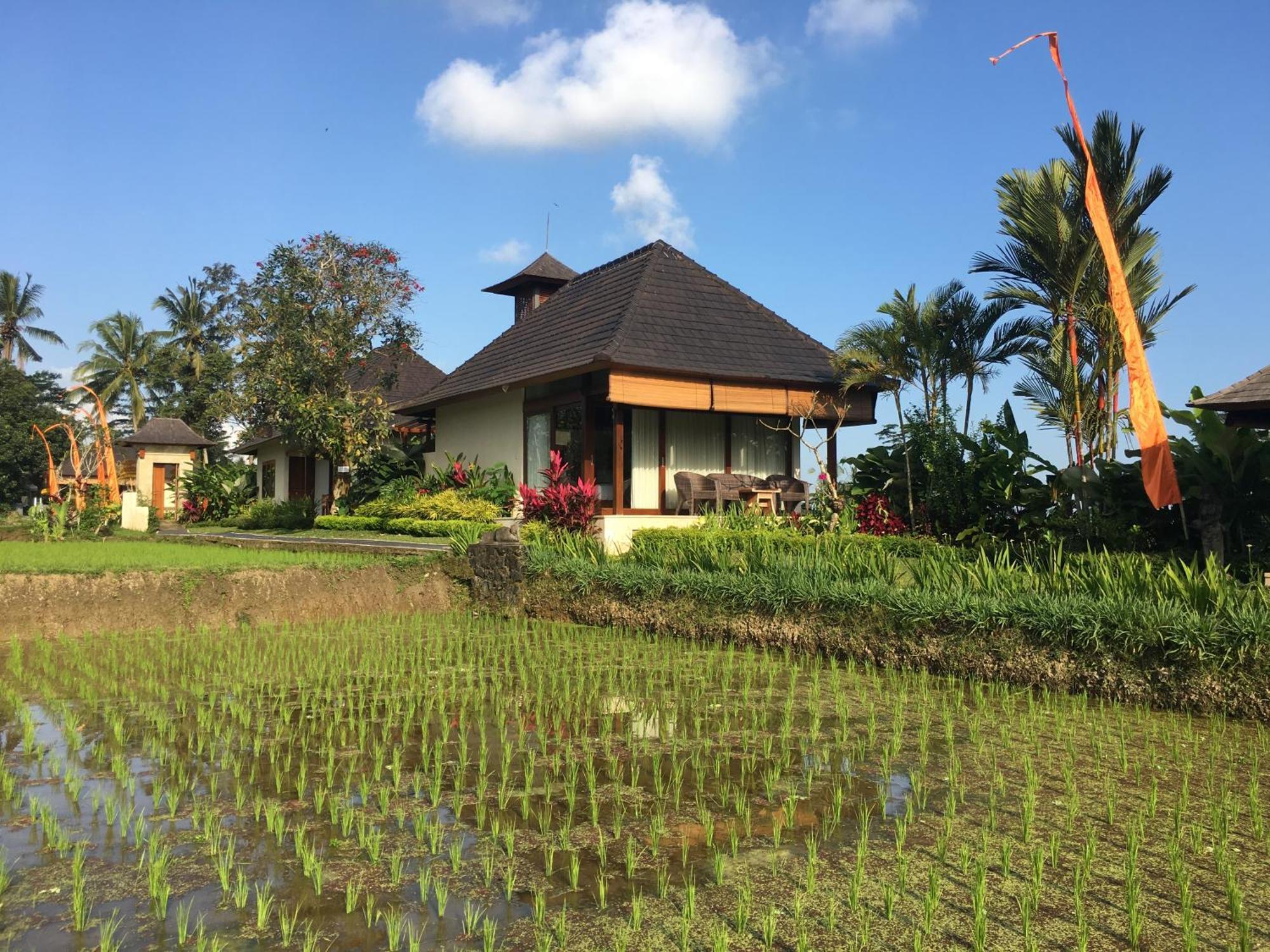 Puri Raya Villa Ubud Buitenkant foto