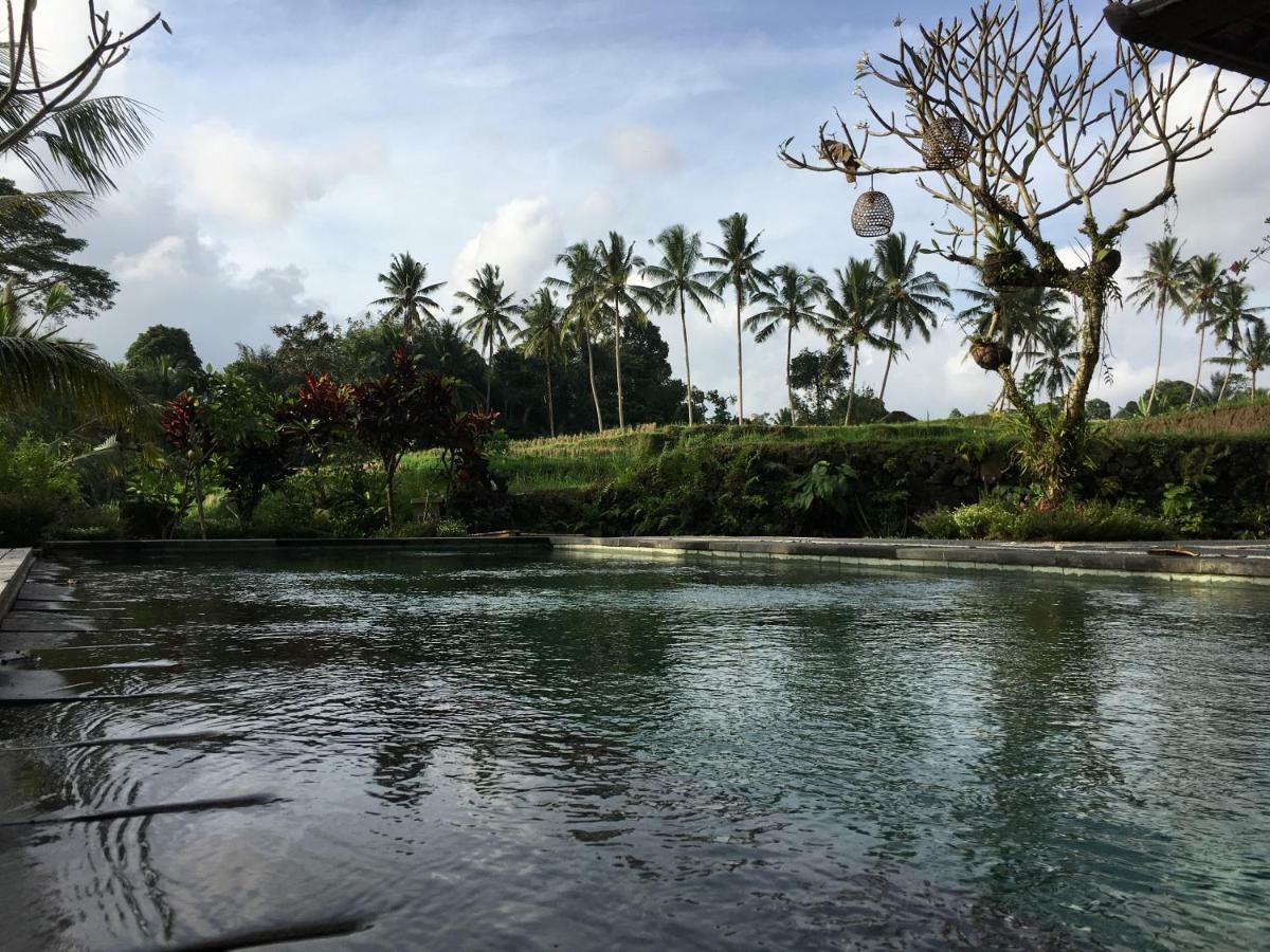 Puri Raya Villa Ubud Buitenkant foto