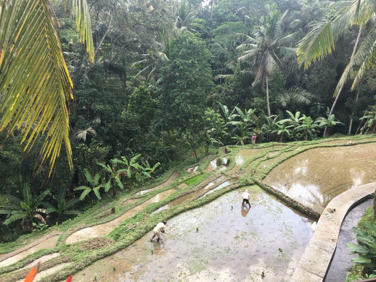 Puri Raya Villa Ubud Buitenkant foto
