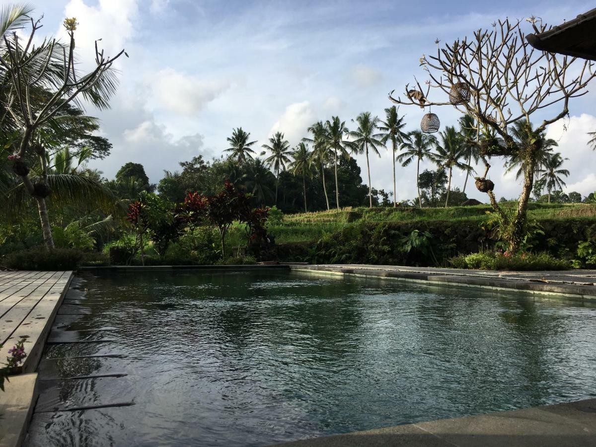 Puri Raya Villa Ubud Buitenkant foto