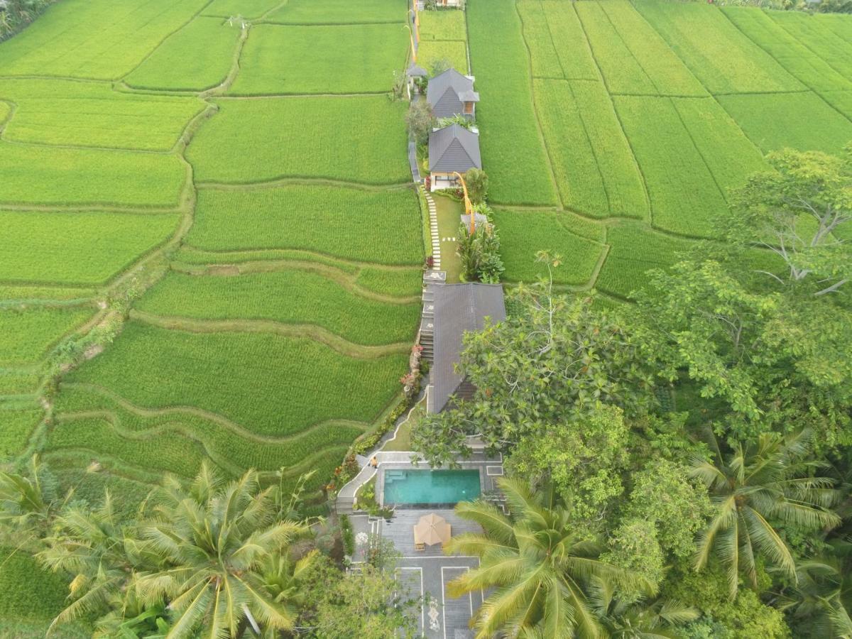 Puri Raya Villa Ubud Buitenkant foto