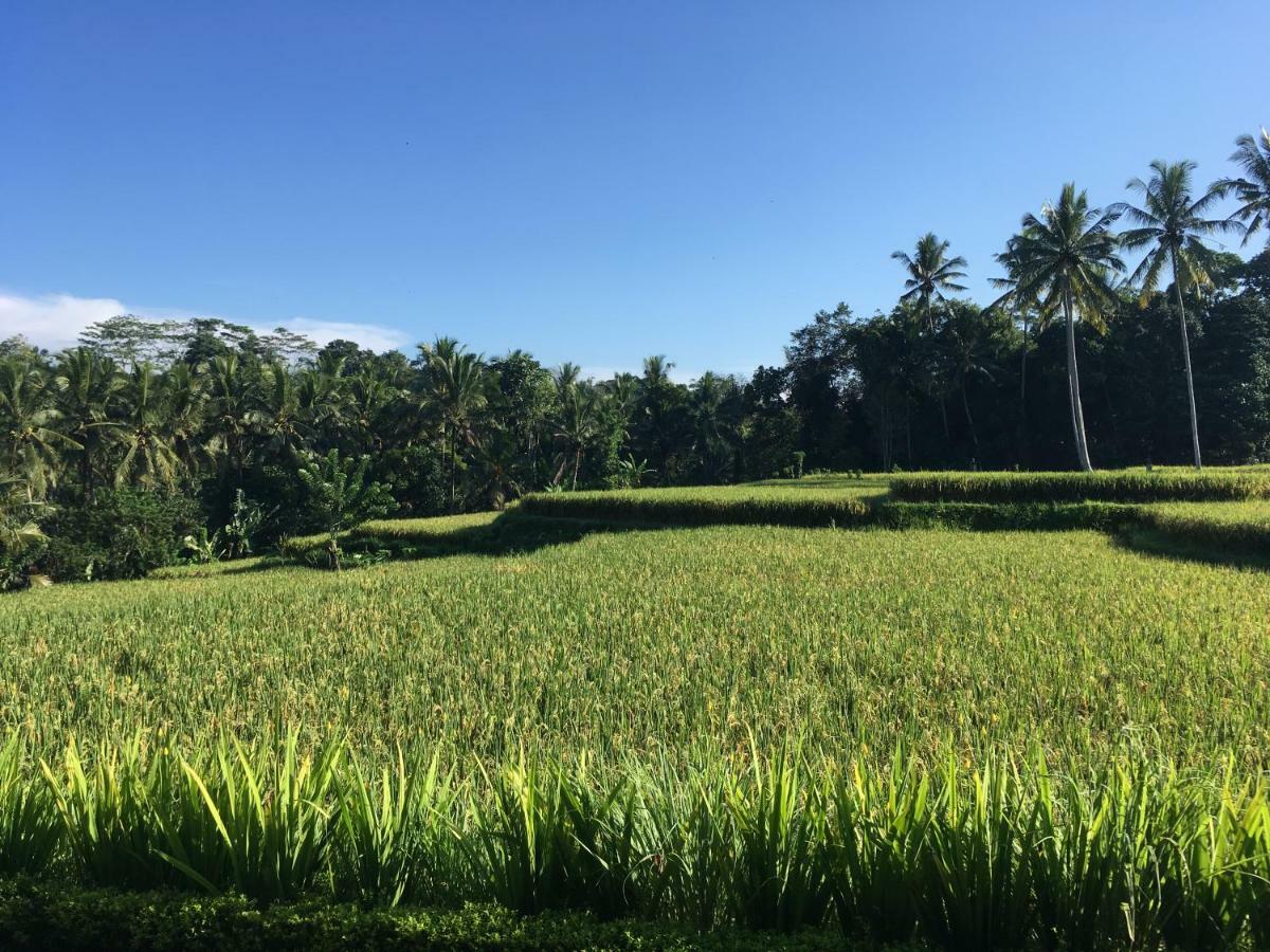 Puri Raya Villa Ubud Buitenkant foto