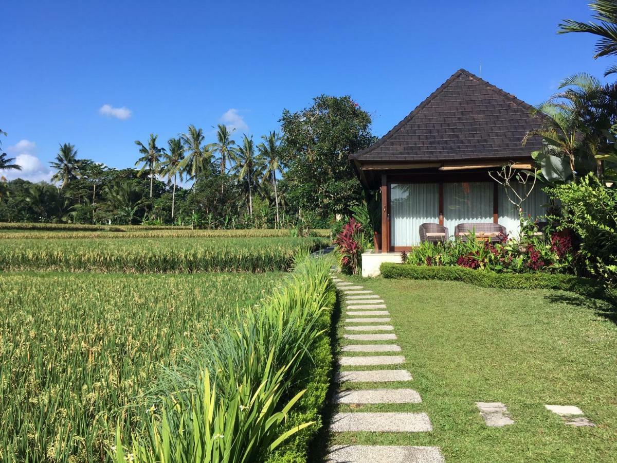 Puri Raya Villa Ubud Buitenkant foto