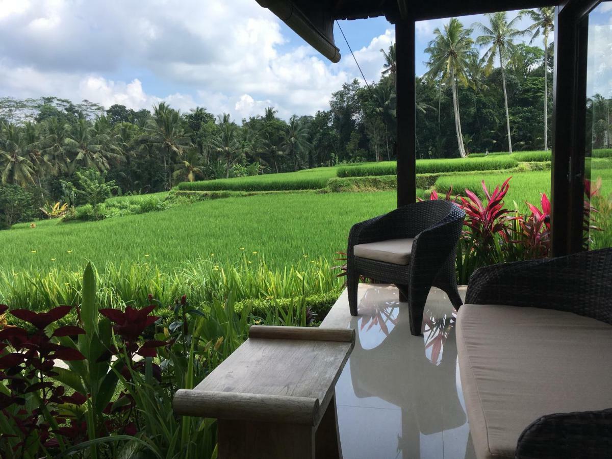 Puri Raya Villa Ubud Buitenkant foto