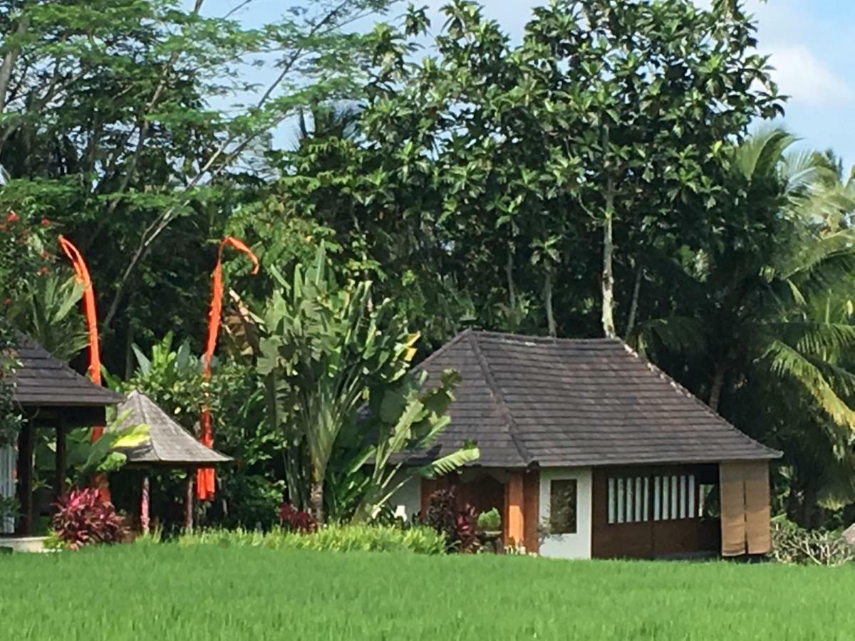 Puri Raya Villa Ubud Buitenkant foto