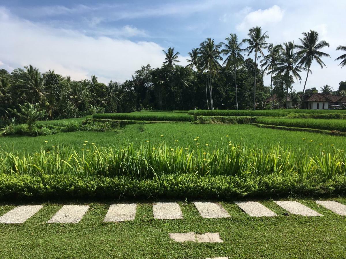 Puri Raya Villa Ubud Buitenkant foto