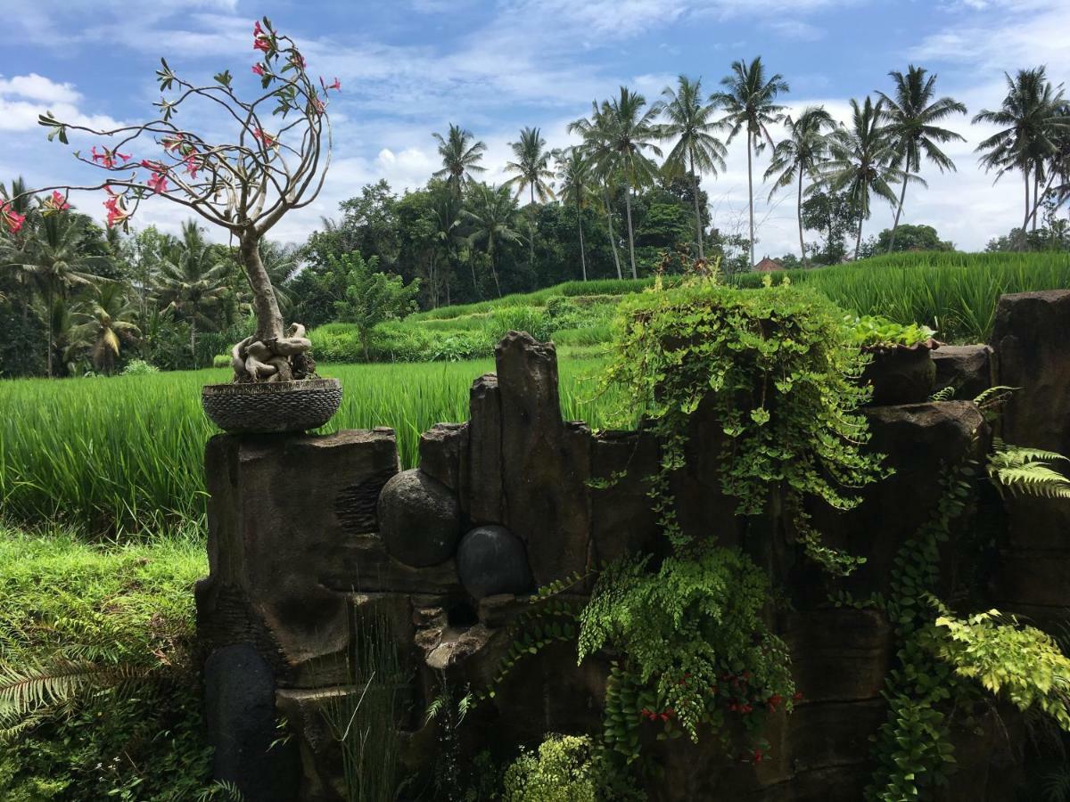 Puri Raya Villa Ubud Buitenkant foto