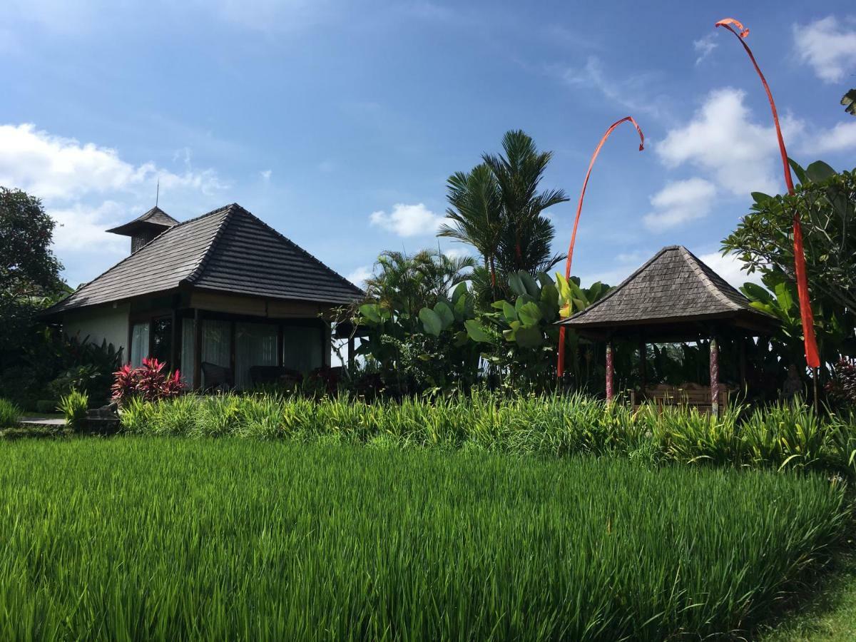 Puri Raya Villa Ubud Buitenkant foto