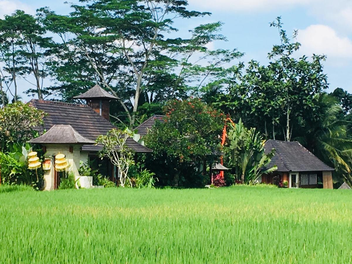 Puri Raya Villa Ubud Buitenkant foto