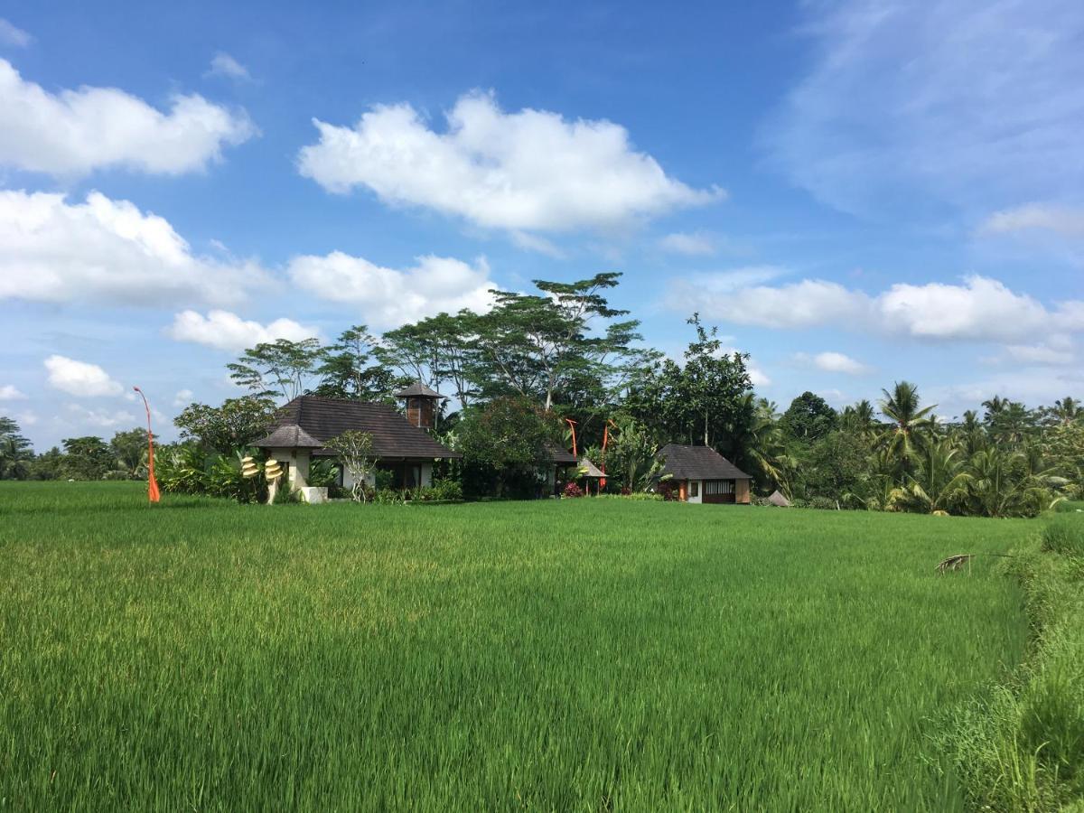 Puri Raya Villa Ubud Buitenkant foto