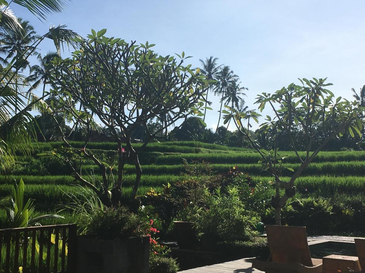 Puri Raya Villa Ubud Buitenkant foto