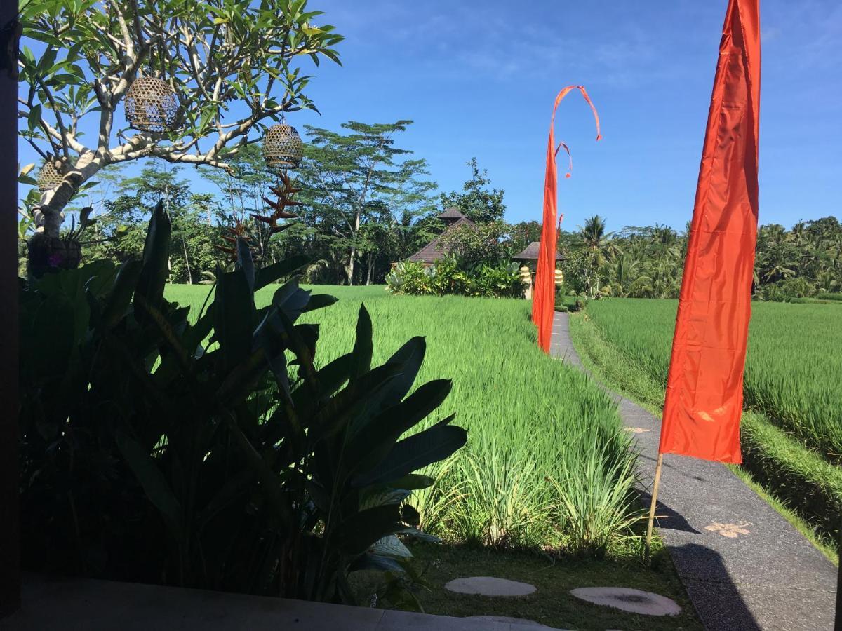 Puri Raya Villa Ubud Buitenkant foto