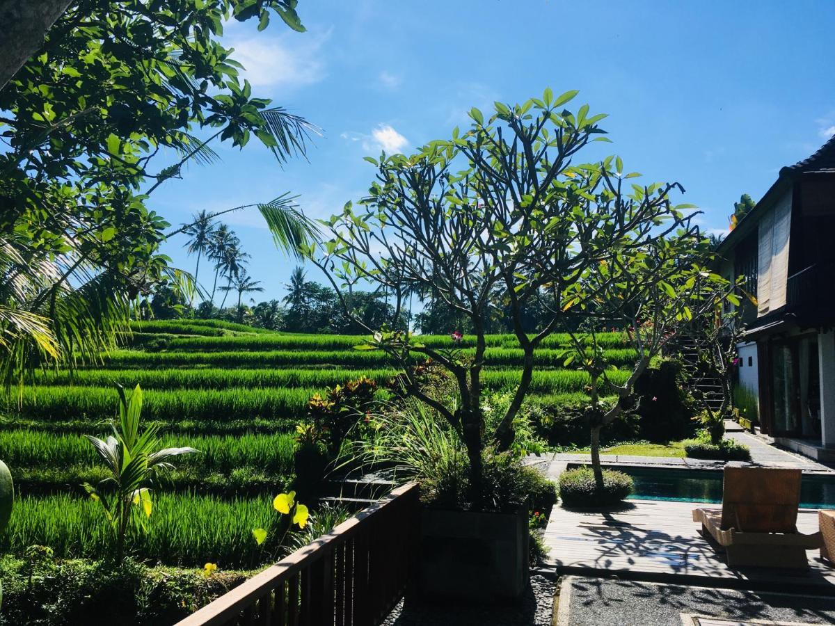 Puri Raya Villa Ubud Buitenkant foto