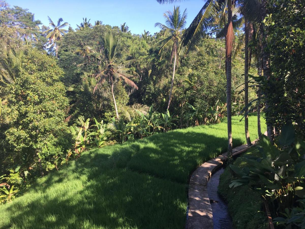 Puri Raya Villa Ubud Buitenkant foto