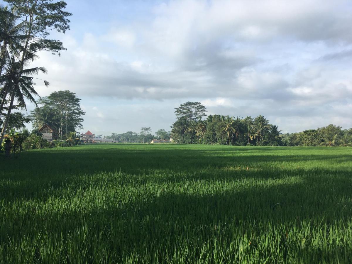 Puri Raya Villa Ubud Buitenkant foto