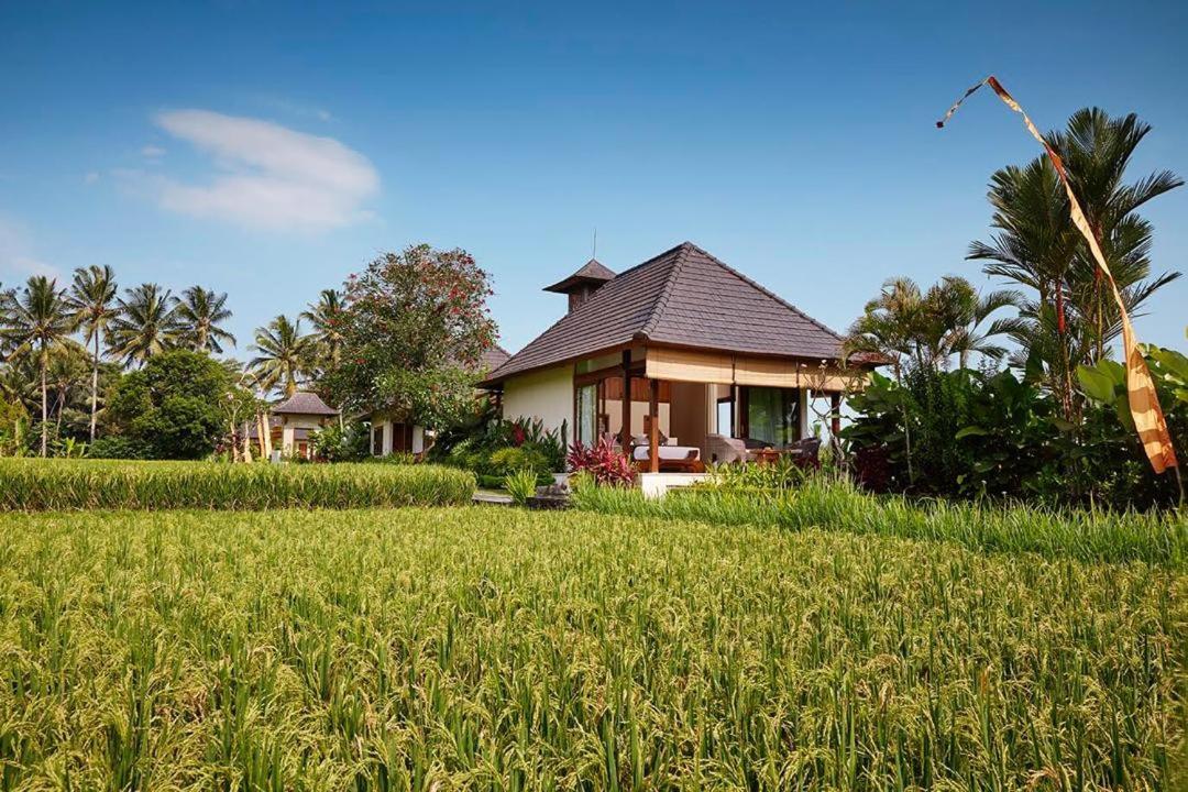 Puri Raya Villa Ubud Buitenkant foto