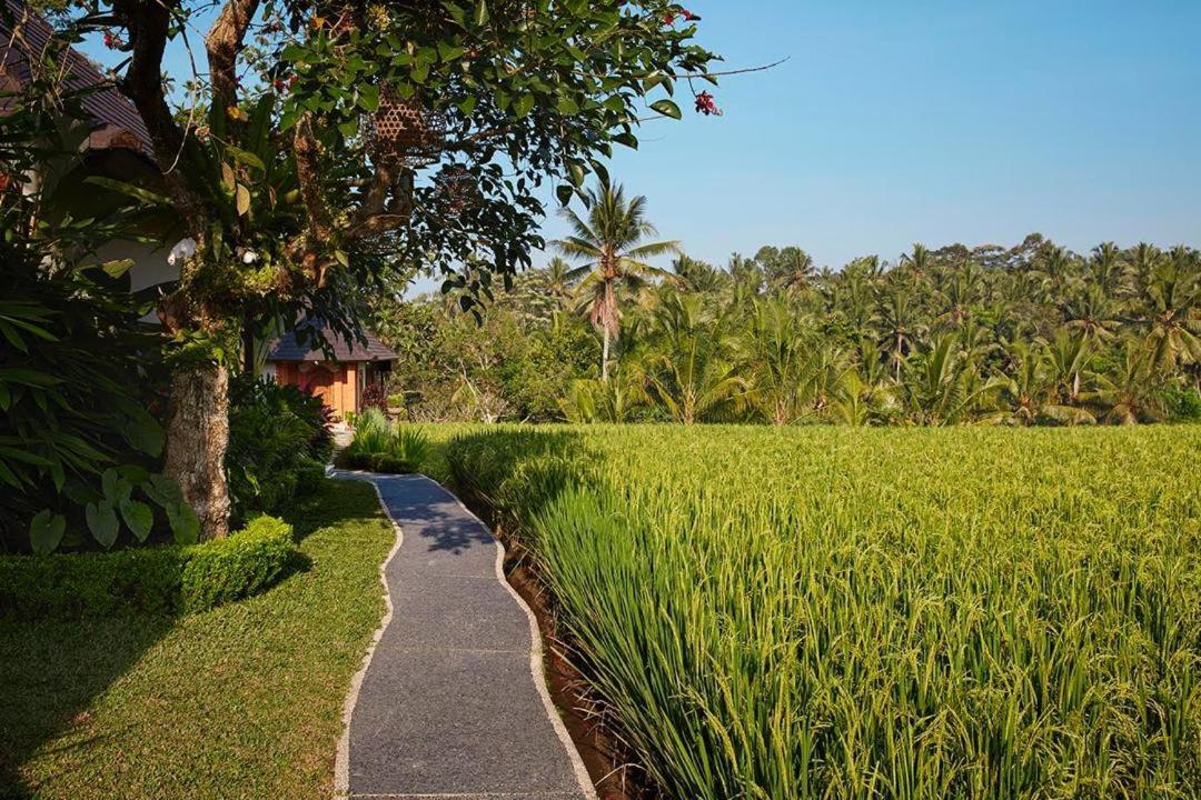 Puri Raya Villa Ubud Buitenkant foto