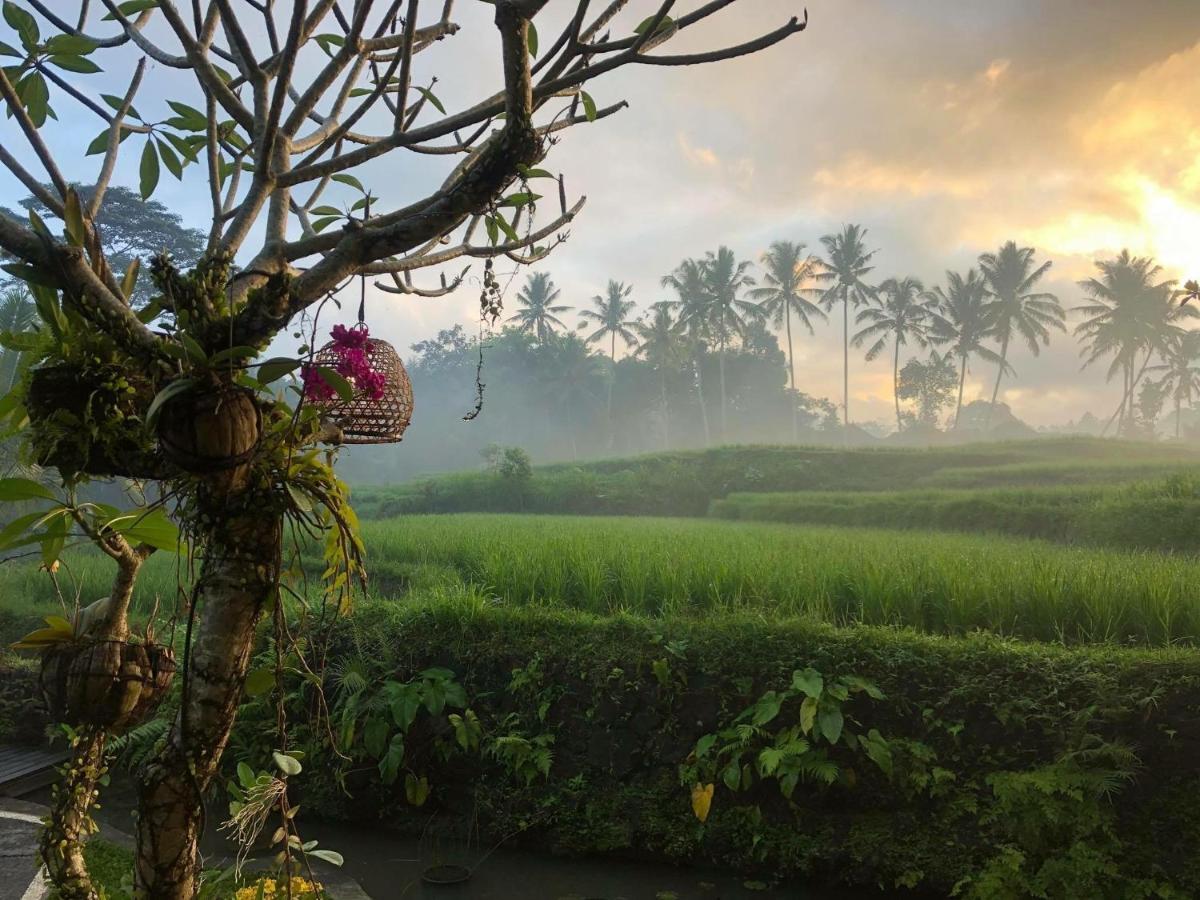 Puri Raya Villa Ubud Buitenkant foto