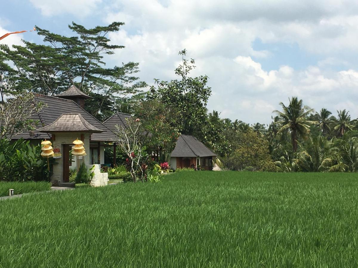 Puri Raya Villa Ubud Buitenkant foto