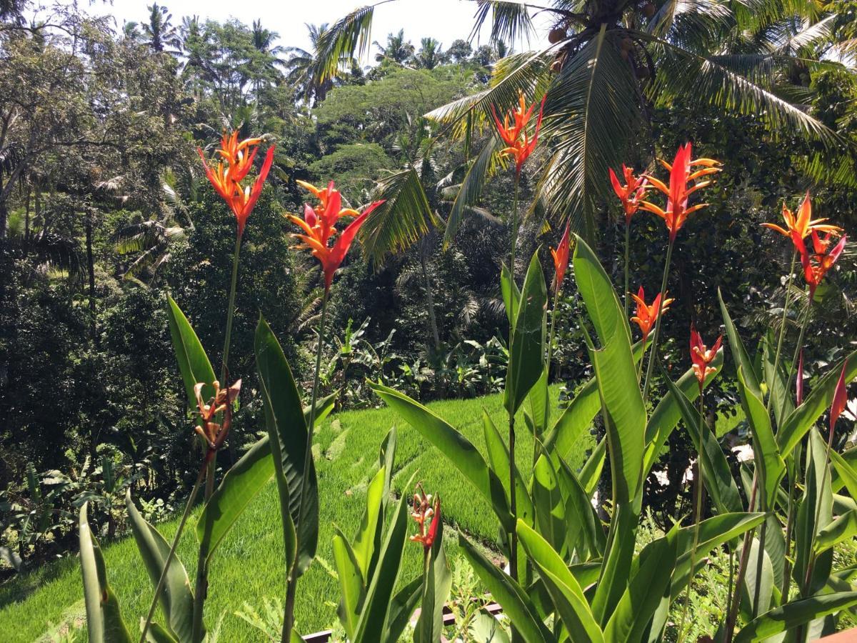 Puri Raya Villa Ubud Buitenkant foto