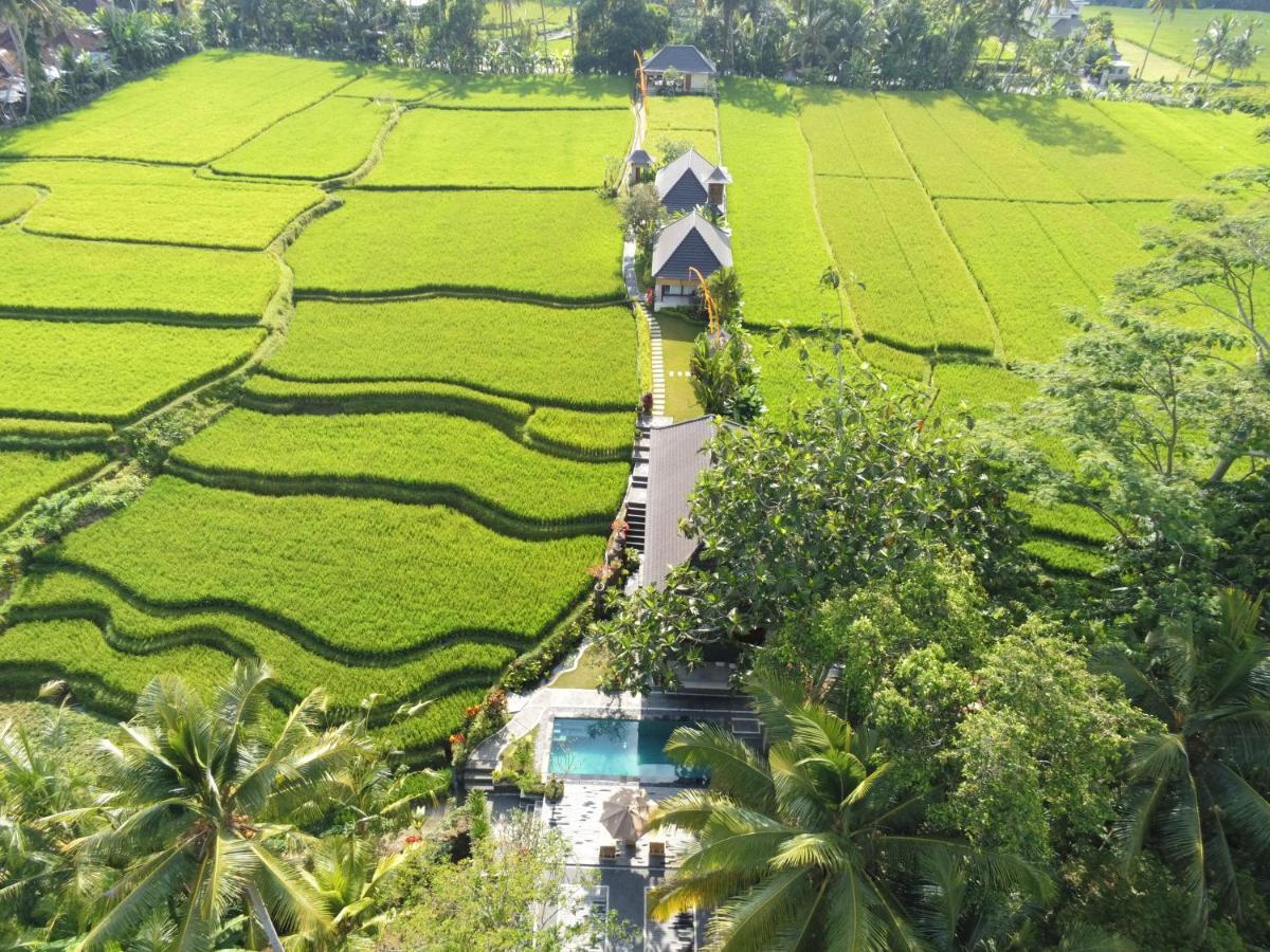 Puri Raya Villa Ubud Buitenkant foto
